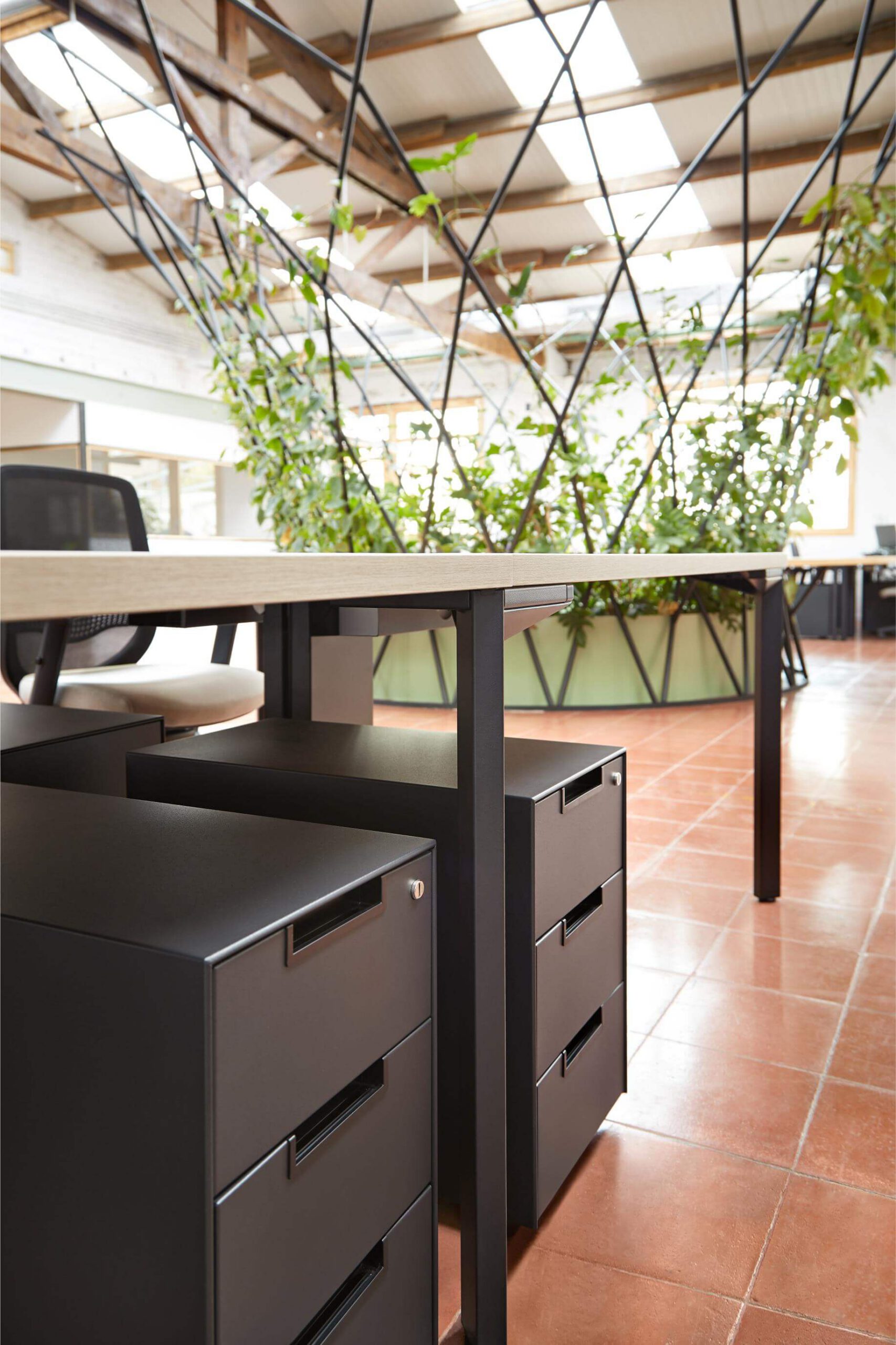 Manglar Coworking · Espacios coworking